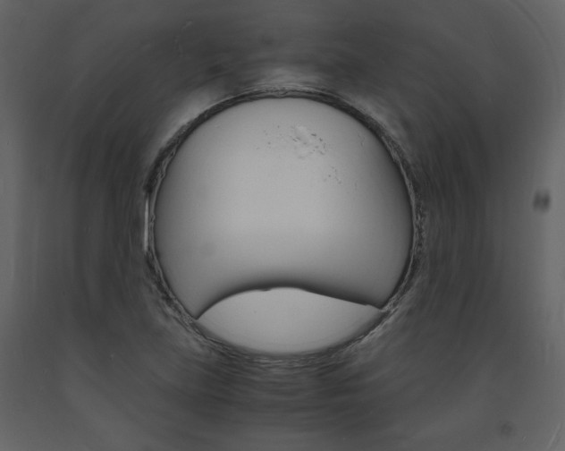 X0000094061219200710190925