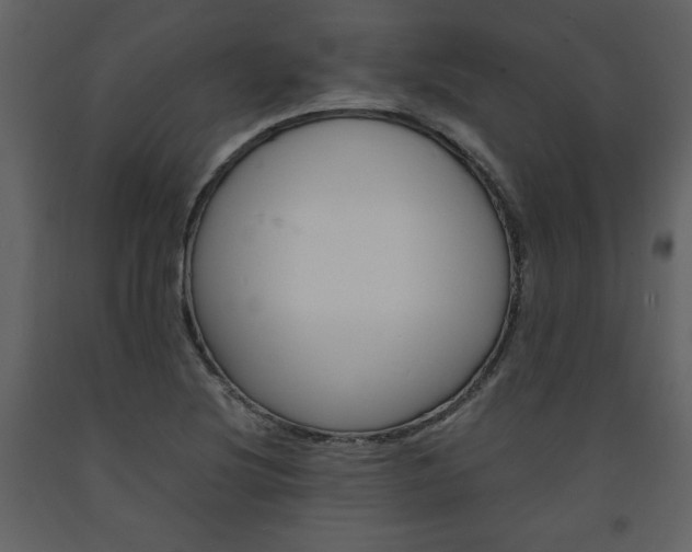 X0000094061220200710190925