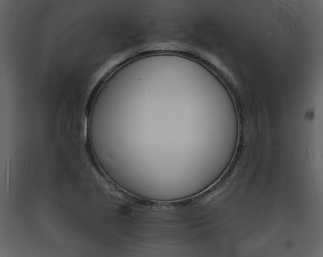 X0000094061221200710190925