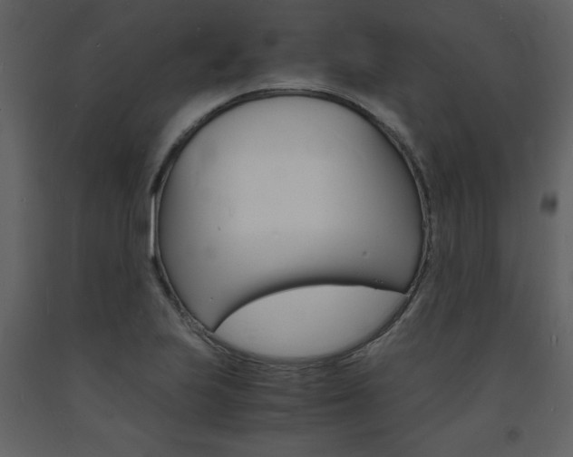 X0000094061223200710190925