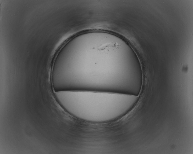X0000094061224200710190925