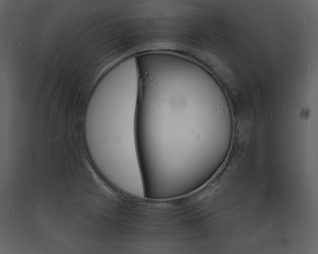 X0000094061225200710190925