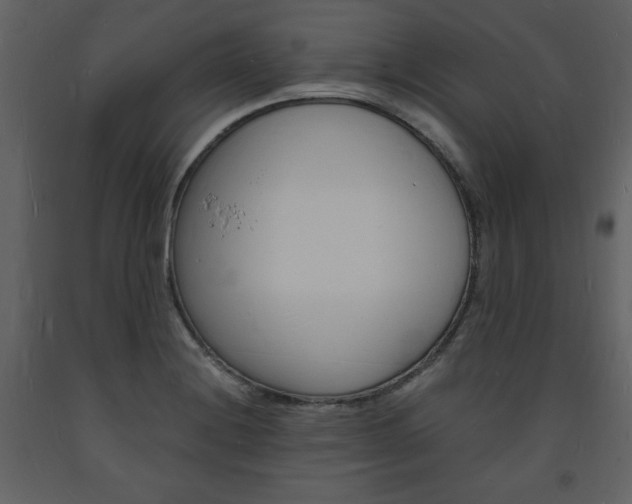 X0000094061228200710190925