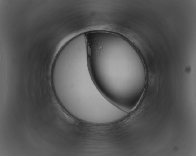 X0000094061230200710190925