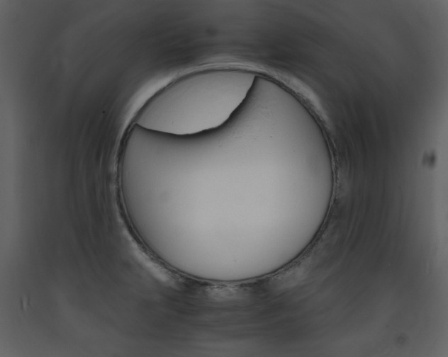 X0000094061231200710190925