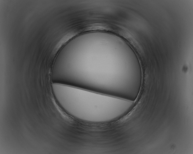 X0000094061233200710190925