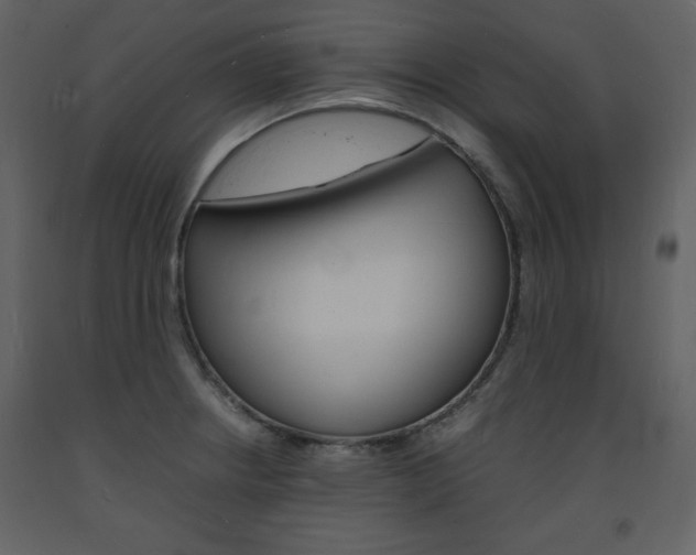 X0000094061234200710190925