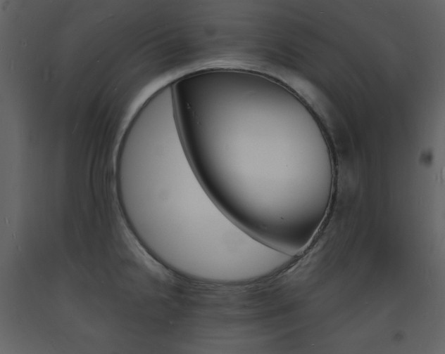 X0000094061238200710190925