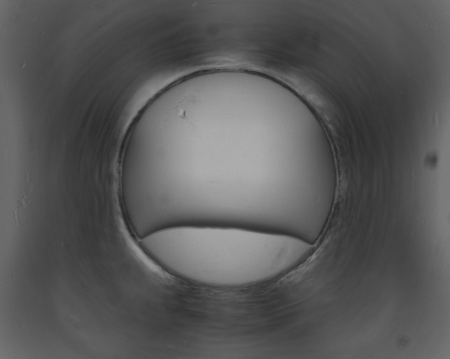 X0000094061239200710190925