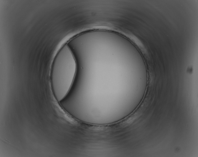 X0000094061240200710190925