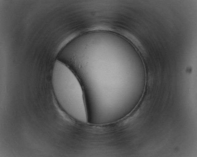 X0000094061241200710190925