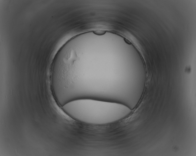 X0000094061243200710190925
