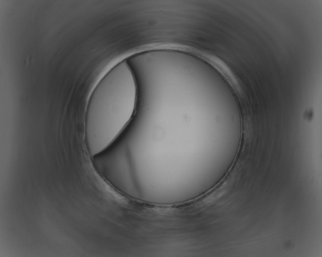 X0000094061244200710190925