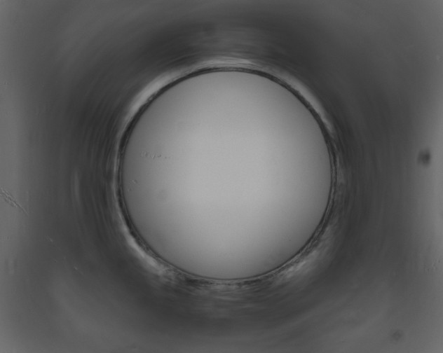 X0000094061245200710190925