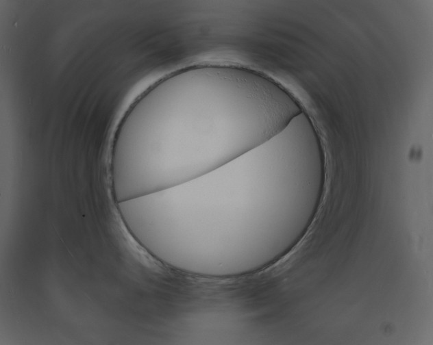 X0000094061248200710190925