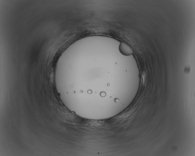 X0000094061251200710190924