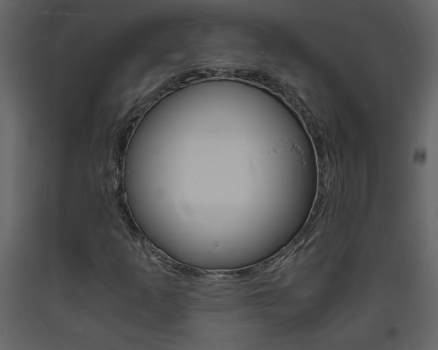 X0000094061253200710190924