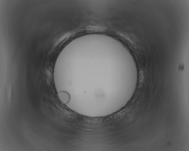 X0000094061254200710190924