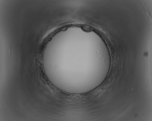 X0000094061255200710190924