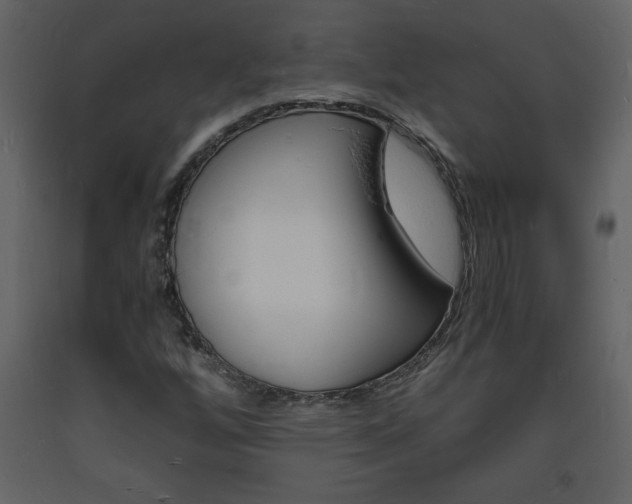 X0000094061256200710190924