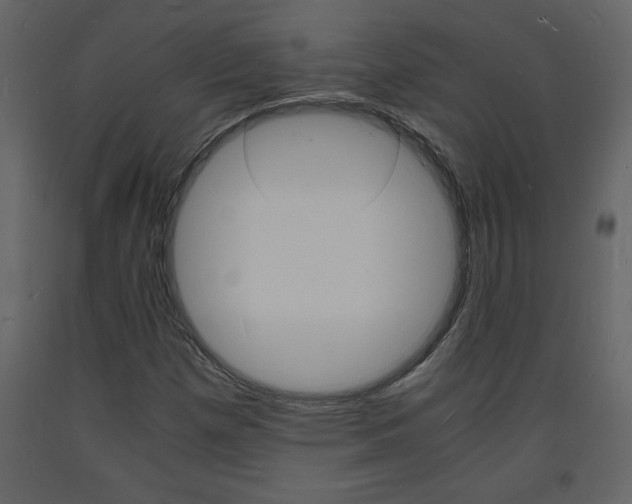 X0000094061257200710190924