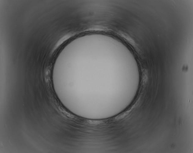 X0000094061258200710190924