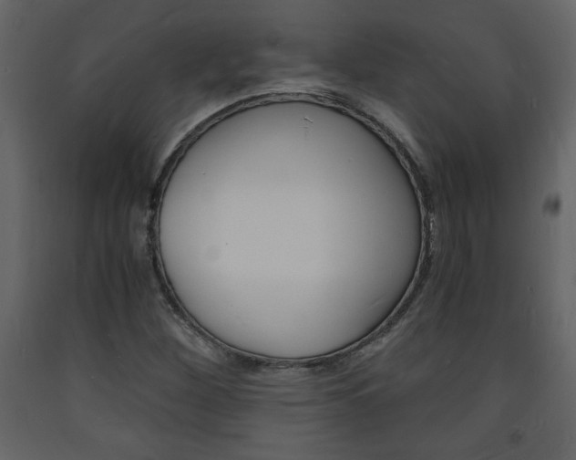 X0000094061260200710190924