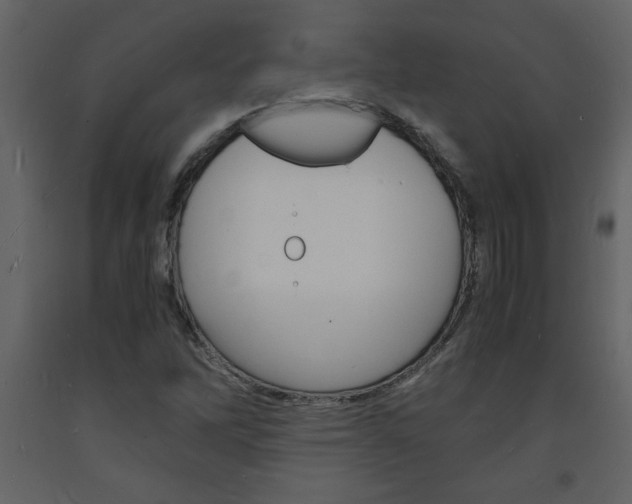 X0000094061262200710190924