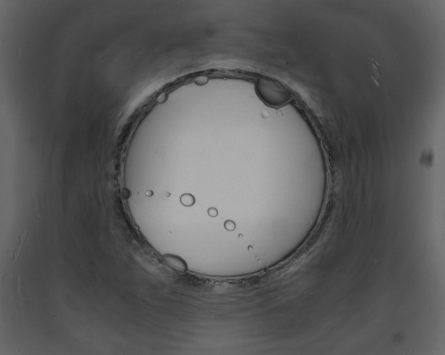 X0000094061263200710190924