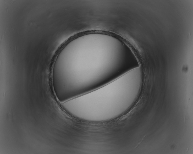 X0000094061264200710190924