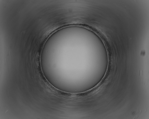 X0000094061265200710190924