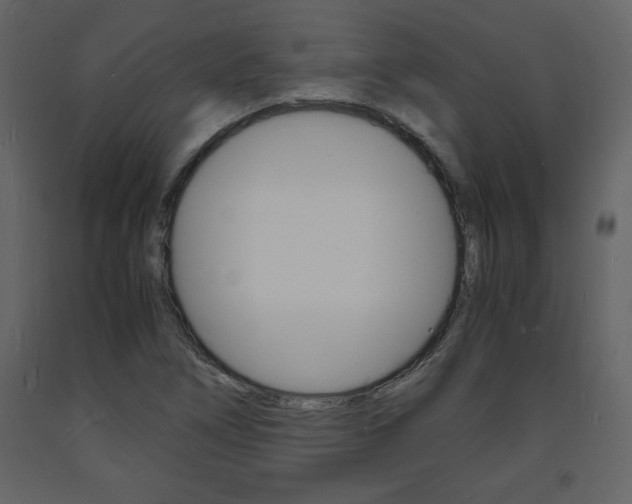 X0000094061266200710190924
