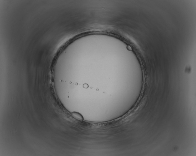X0000094061267200710190924