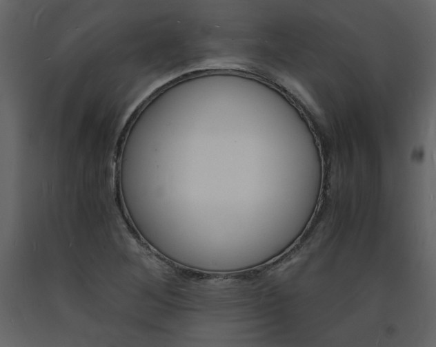 X0000094061268200710190924