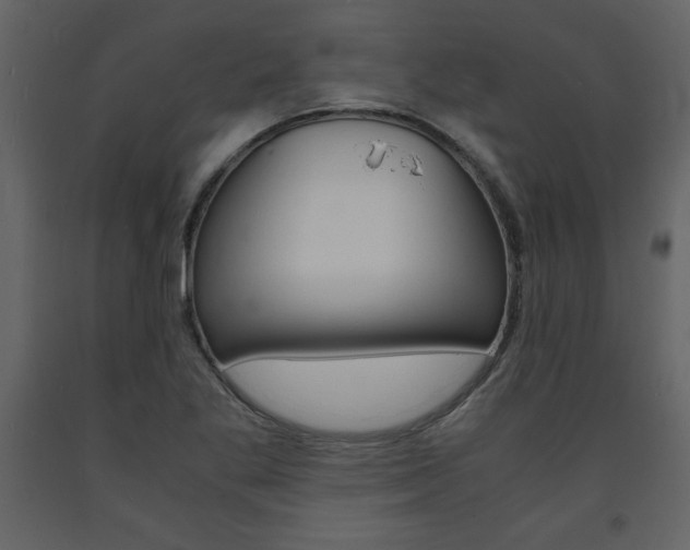X0000094061269200710190924