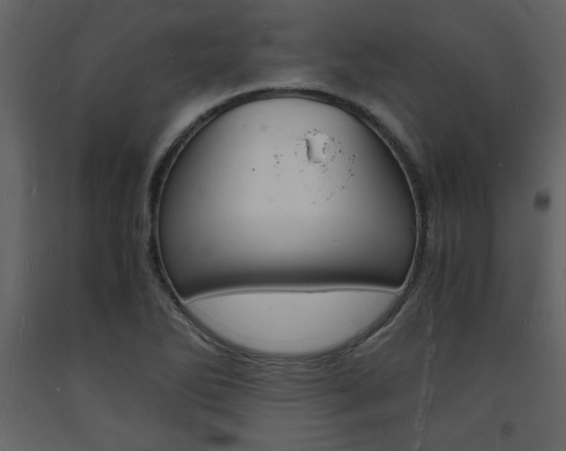 X0000094061270200710190924