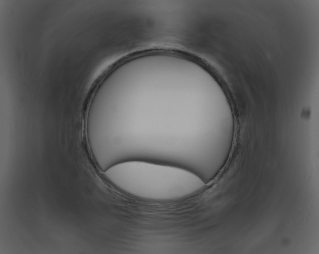 X0000094061271200710190924