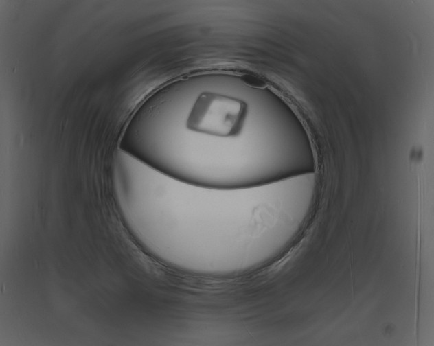 X0000094061273200710190924