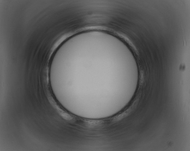 X0000094061274200710190924