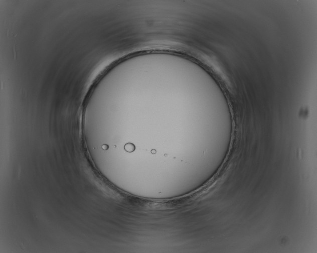X0000094061275200710190924