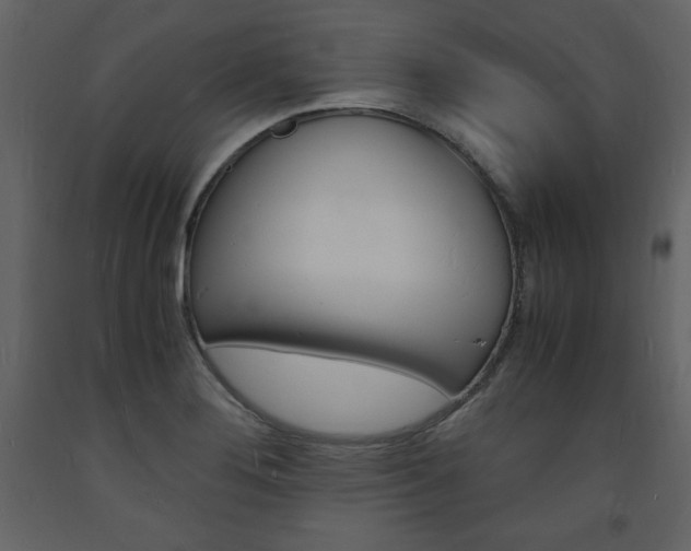 X0000094061276200710190924