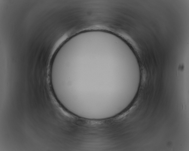 X0000094061278200710190924