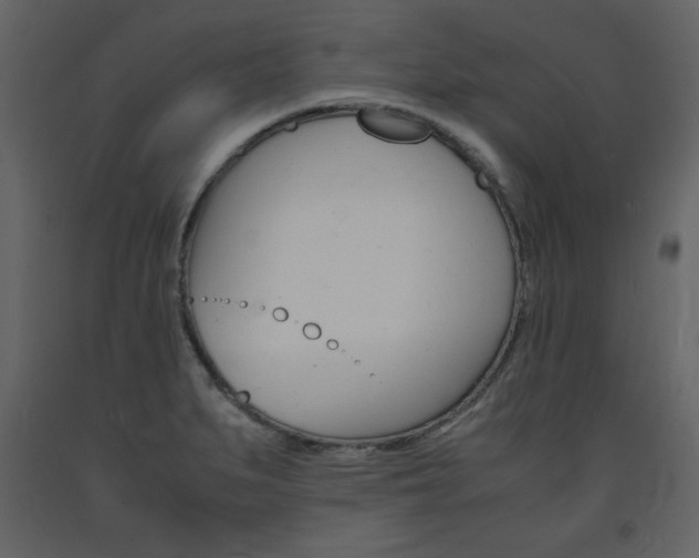 X0000094061279200710190924