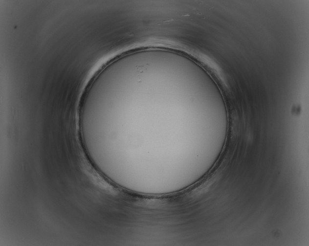X0000094061280200710190924
