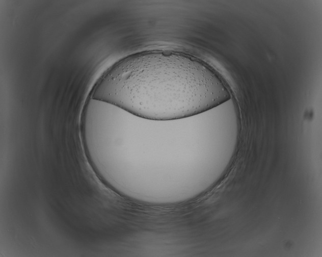 X0000094061283200710190924