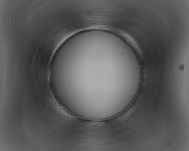 X0000094061284200710190924