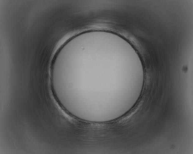 X0000094061286200710190924