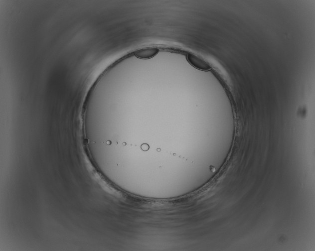 X0000094061287200710190924
