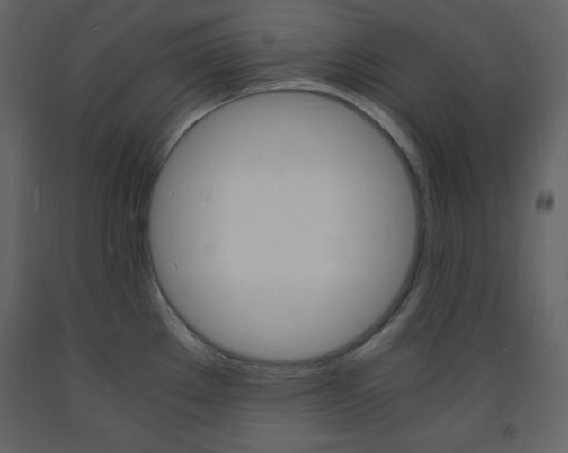 X0000094061289200710190924