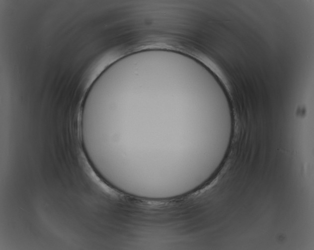 X0000094061290200710190924